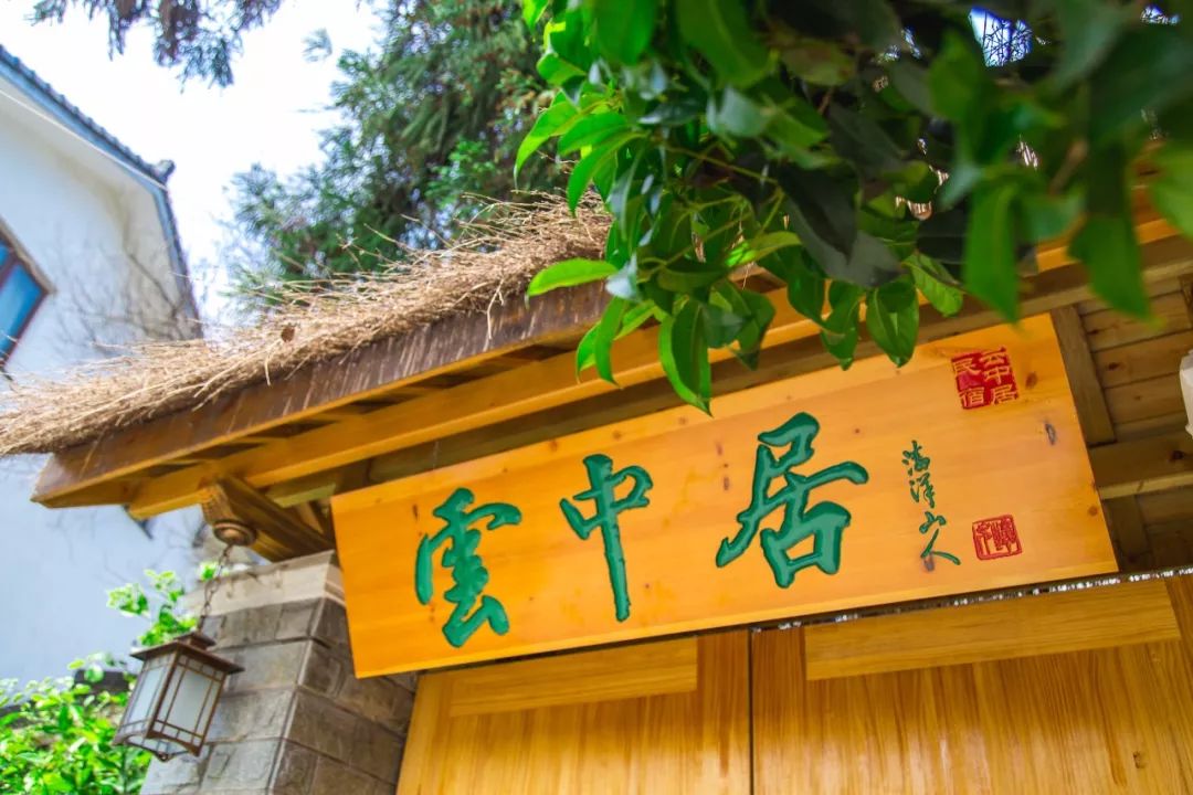 夏燥去山里杭州云中居茶山啜茶云中而栖