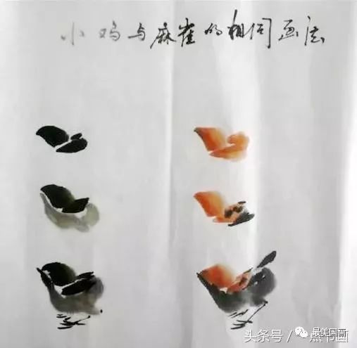 国画入门丨怎样画小鸡