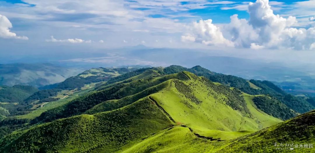 寻甸凤龙山爱上那一片有厚度的大草地