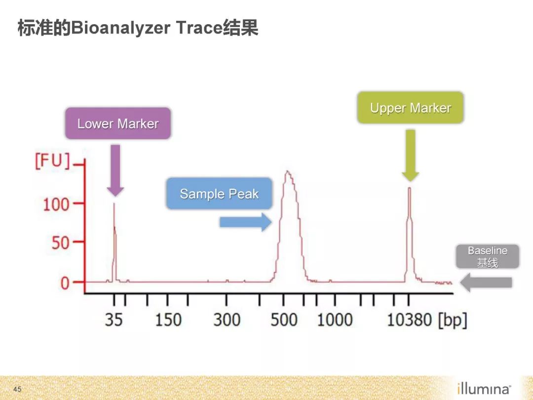 ngs测序原理及质量控制