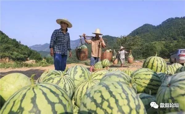 梓里村人口_杞梓里中心学校图片