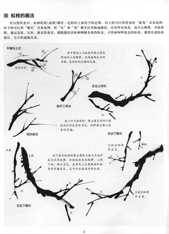 中国画技法基础教学:松树的画法详解,松树的结构与形态分析