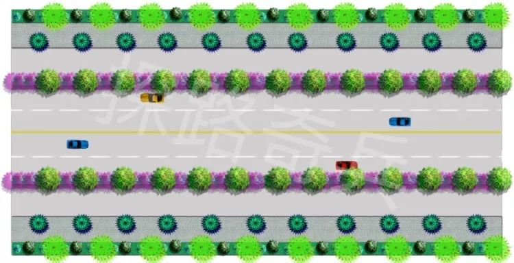 "引擎绿色脉动"城市道路绿地调查与优化分析——案例篇(三)