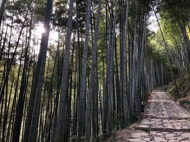 余杭绝佳避暑胜地来啦!让你瞬间清凉10℃~_径山镇