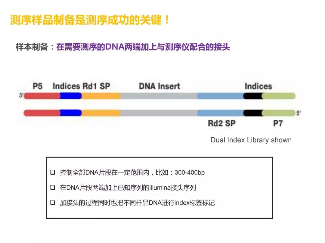 ngs测序原理及质量控制