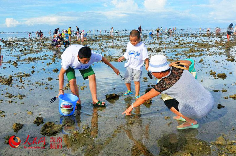 又是一年赶海季 2018年第四届潭门赶海节开幕