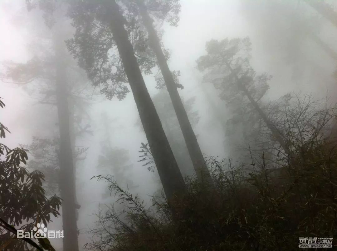 瓦屋山迷魂凼猜测