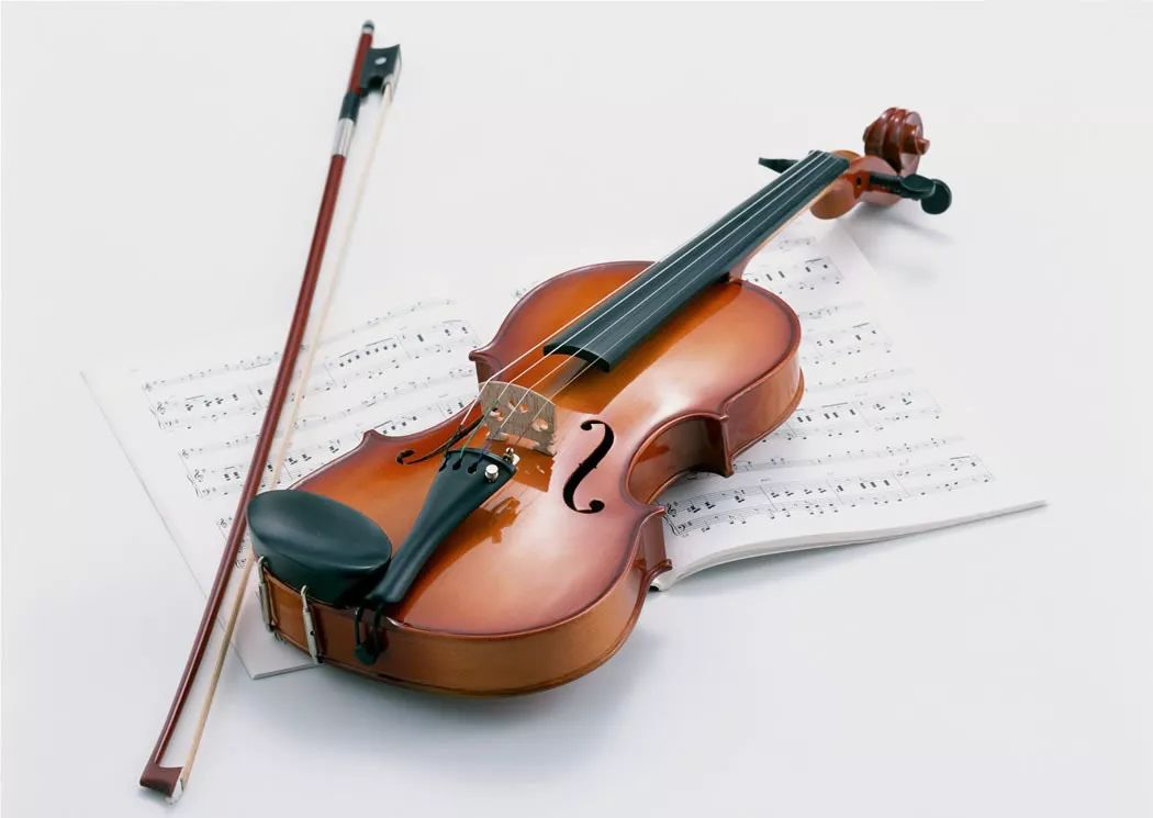 小巧精致的小提琴 中提琴