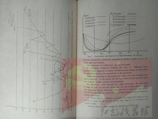 广岛人口数_广岛原子爆炸图片