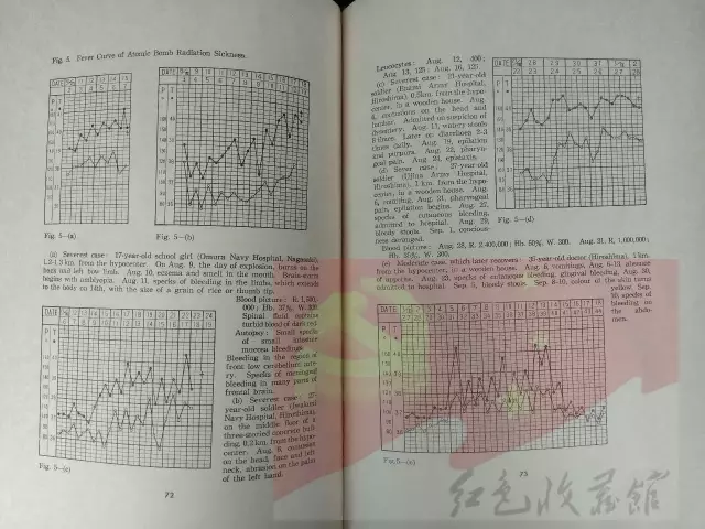 广岛人口数_广岛原子爆炸图片