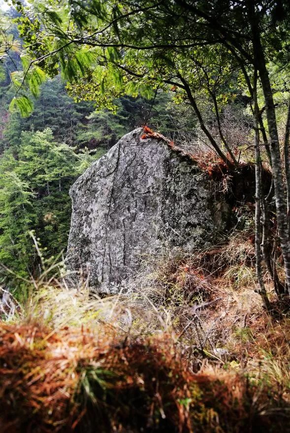 汶石村人口_台山汶村晚上图片