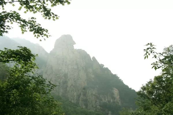 黄山市有多少人口_我的镜头里的黄山 一(3)