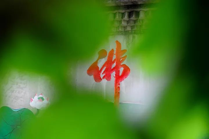 人要寻求最高的觉悟, 佛说: 菩提本无树,明镜亦非台, 本来无一物,何