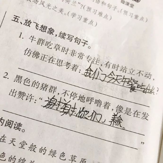 爆笑段子集锦:16倍镜自拍,了解一下.