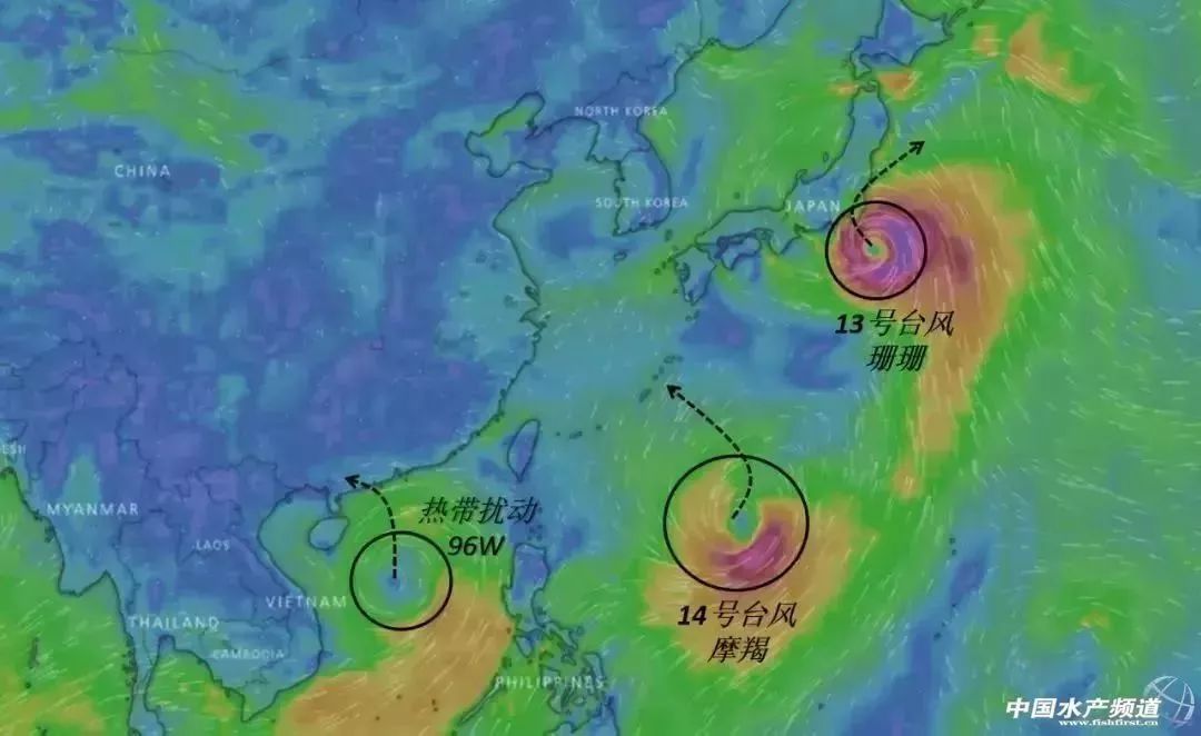 最大风力已接近11米/秒