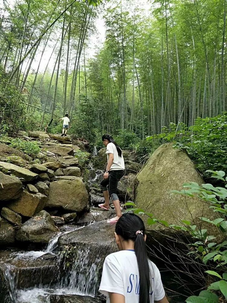 竹林听竹音来听竹山房