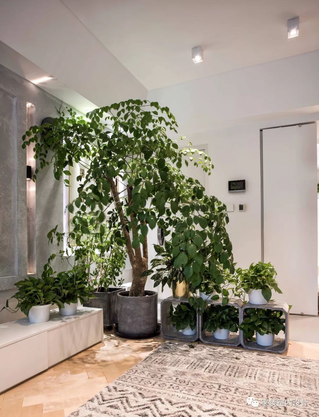 绿植装饰增添了室内的清新活力气息,也是玄关与客厅之间的隔断.