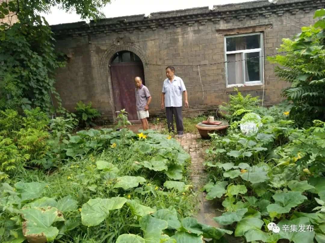 西阳邱村人口_月城镇西头村人口照片(2)