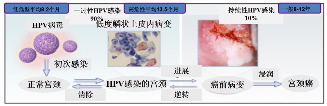 体征:可见宫颈肥大,息肉状,菜花状赘生物,常伴感染等等.