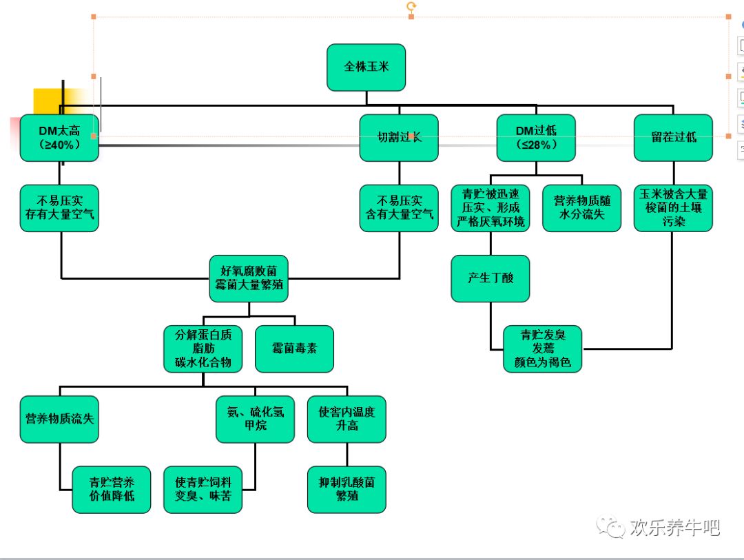 发酵剂的原理_哪种发酵剂可以发酵牧草喂羊