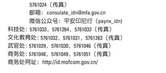 巴厘简谱_巴厘龙虾图片(3)