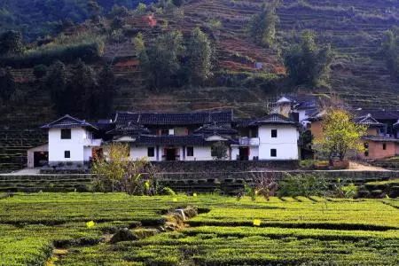 岭埔村市后村上苑村,先锋村华安县湖林乡湖林村,岛濑村吉土村南靖县