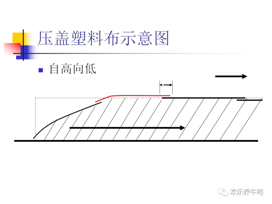 发酵剂的原理_哪种发酵剂可以发酵牧草喂羊