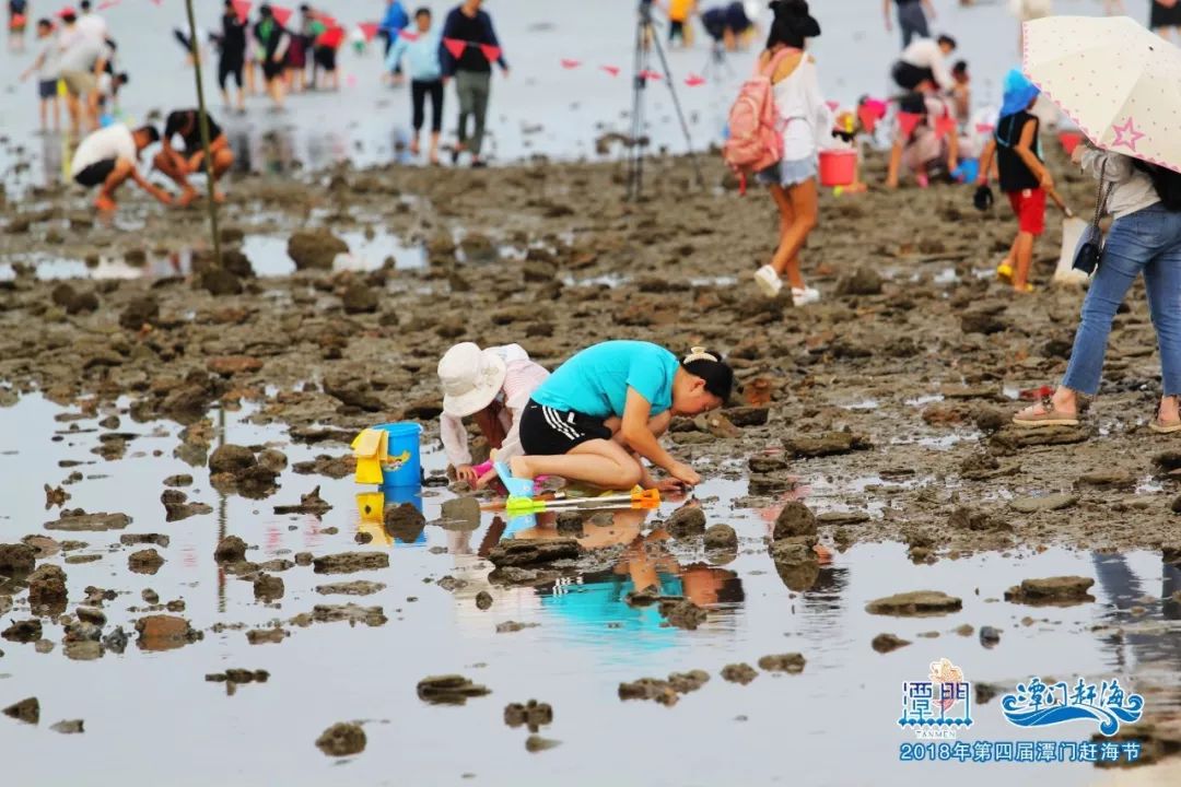 游客变身潭门渔民体验赶海乐趣组图