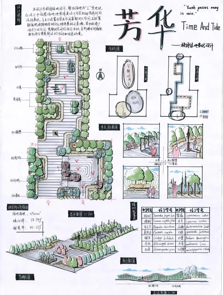 大小场地校园绿地练