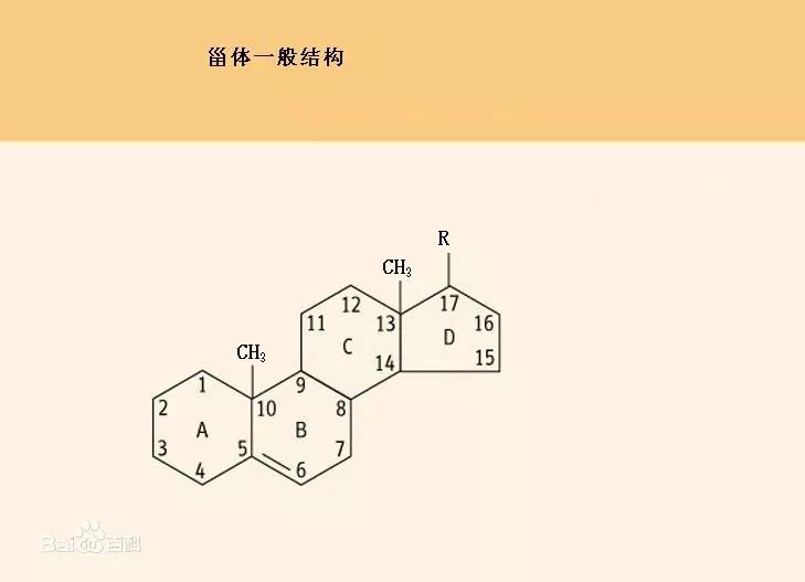 苯萘蒽菲:有机化合物的中文命名