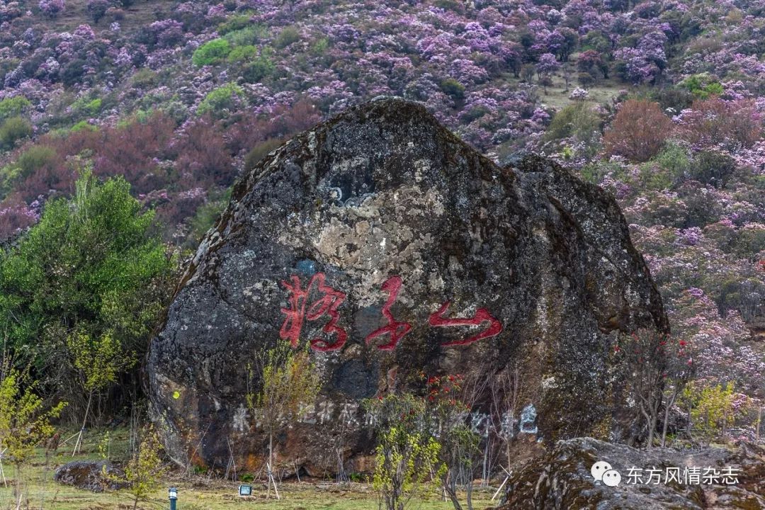 作为滇中第一山,轿子雪山位于昆明市东川区与禄劝彝族苗族自治县交界