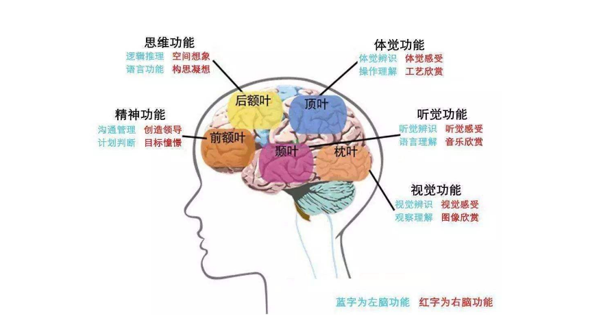 智商高人口_高智商图片