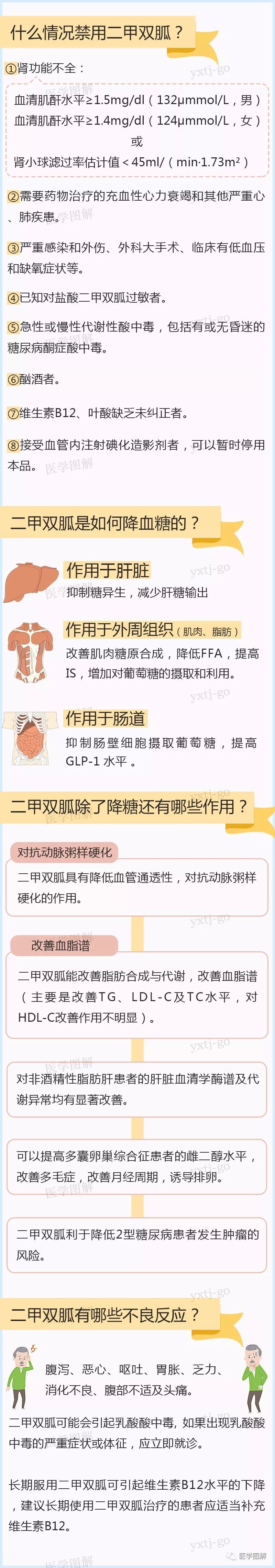 图解使用二甲双胍前需要明白这4个问题