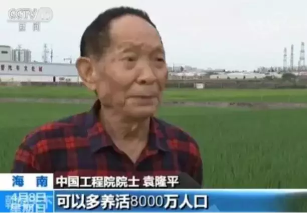 人口普查袁隆平_人口普查