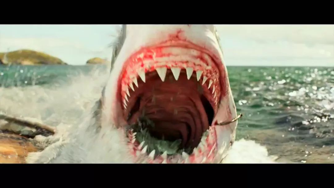 根据电影的后面得知,这头鲨鱼曾经被人类所伤,所以这一切都有了合理