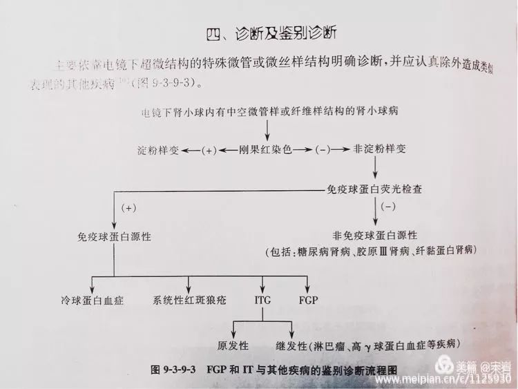 4,免疫球蛋白荧光阴性-非免疫球蛋白源性-包括:糖尿病肾病,胶原iii