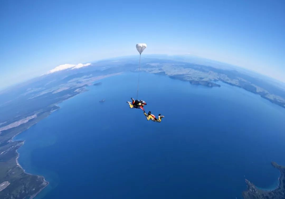 taupo skydive