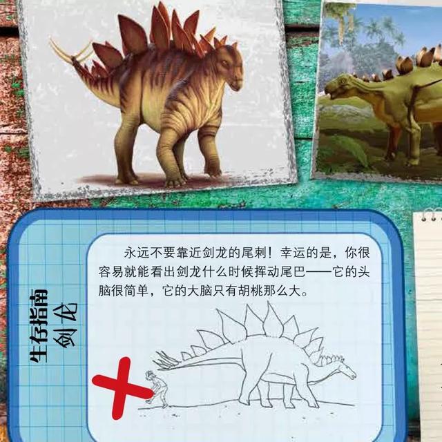 恐龙时代大揭秘怎么用