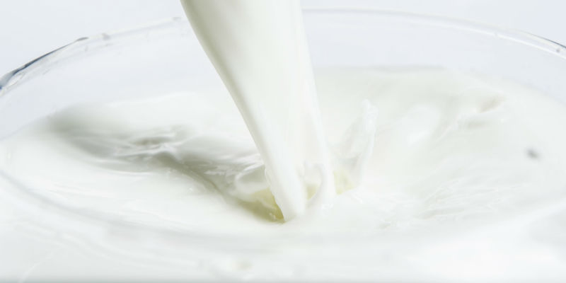 乳品行业国家级消费品标准化试点项目落户伊利