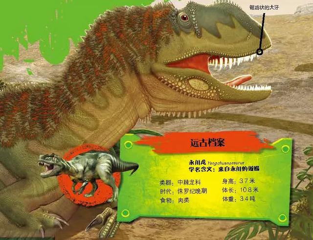 恐龙时代大揭秘怎么用