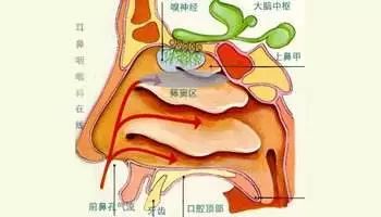 鼻子酸怎么办