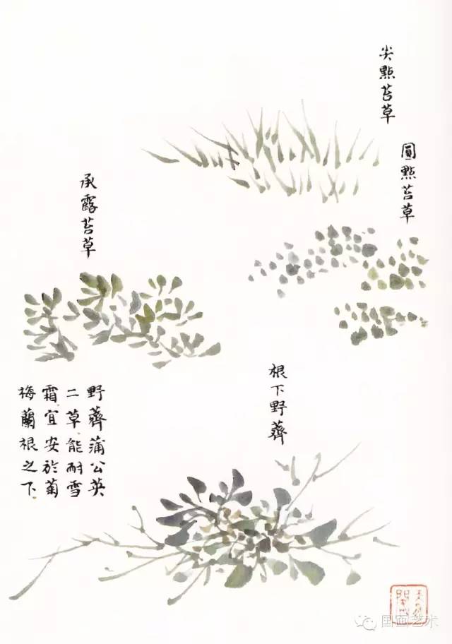 吴蓬临芥子园画谱之草虫花卉谱