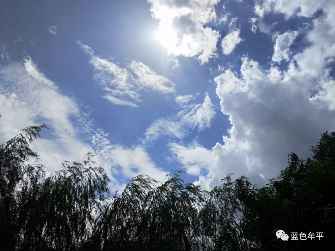 雨后牟平的蓝天美得不像话!刷爆朋友圈