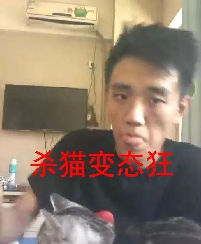 杀猫拍视频,威胁女朋友不能分手,这男的真变态!