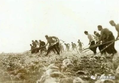 【诗词赏析】倪宝顺:贺"十万复转官兵开发建设北大荒60周年"(排律)