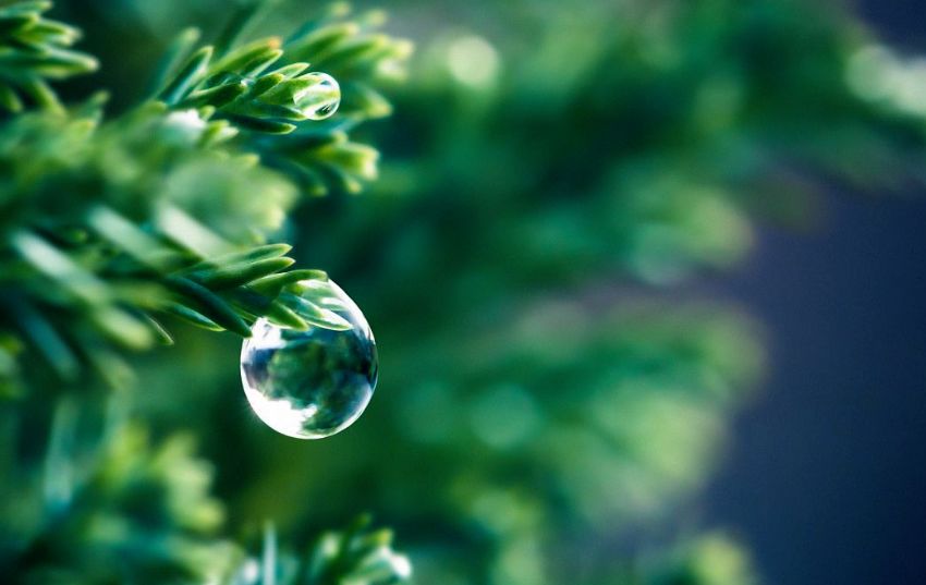 雨后丨所有的等待,都会不期而遇