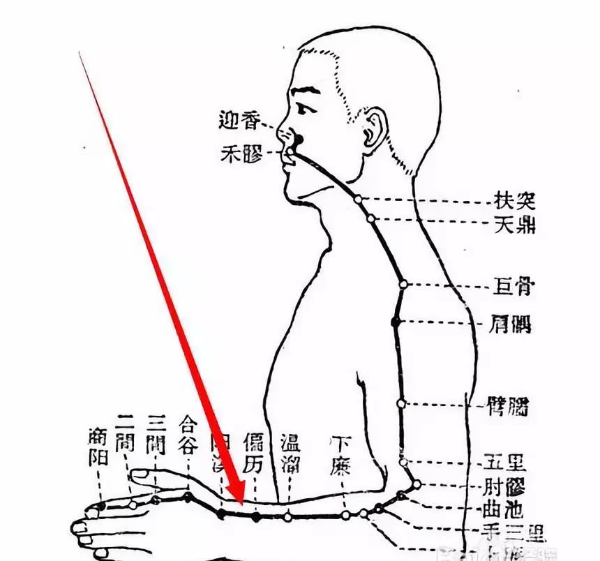 手臂上有一个穴位,止牙痛,利小便,鼻子出血,耳鸣耳聋~都能用