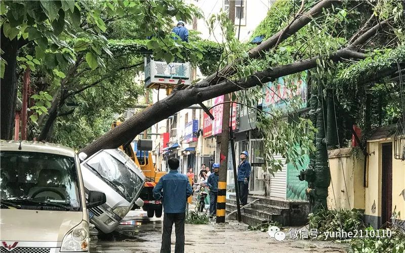 【壹点头条"摩羯"带来暴雨大风,济宁城区启动应急预案,清理倒伏树木