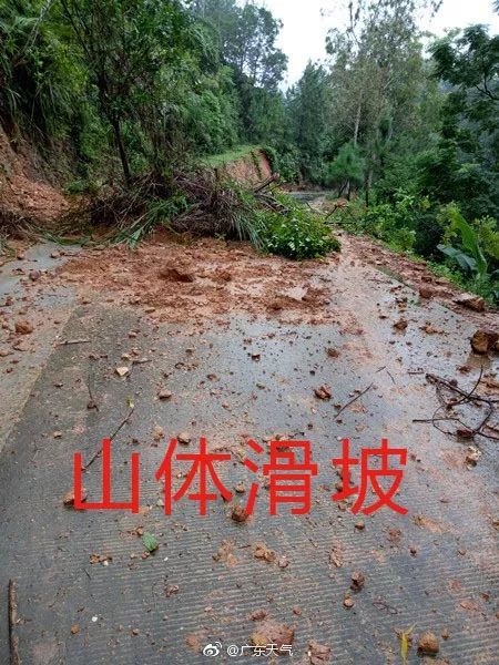 茂名信宜山体滑坡,道路中断