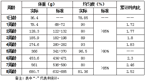 11400  三,实证总结 鸡群整个饲养周期体重均达到罗曼粉标准体重